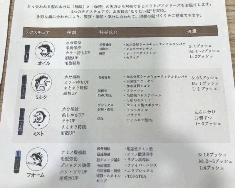 いるかのせなかの説明書です。